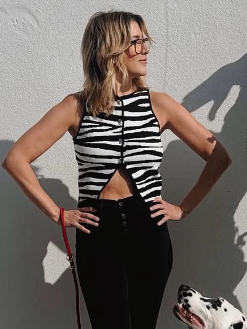 Zara Black and White Zebra Button-Front Crop Tank